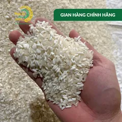 Gạo Phúc Cư | 4KG Nếp Nương Điện Biên Hạt Dài Dẻo Thơm Nấu Xôi Làm Bánh