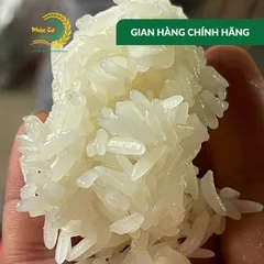 Gạo Phúc Cư | 4KG Nếp Nương Điện Biên Hạt Dài Dẻo Thơm Nấu Xôi Làm Bánh