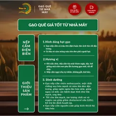 Gạo Phúc Cư | 60KG Gạo Nếp Cẩm Điện Biên Đặc Sản Dẻo Thơm Nấu Xôi Sữa Chua Thơm Ngon