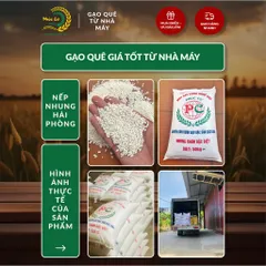Gạo Phúc Cư | 40KG Gạo Nếp Nhung Hạt To (NẾP BẮC 4 THÁNG TUỔI) Nấu Xôi Không Bết Làm Bánh Dẻo Ngon