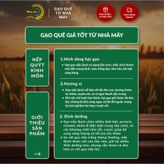Gạo Phúc Cư | 40KG Gạo Nếp Quýt Kinh Môn 6 Tháng Tuổi (Nếp Cái Hoa Vàng) Hạt To Tròn Nấu Xôi Làm Bánh