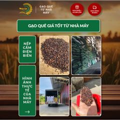 Gạo Phúc Cư | 20KG Gạo Nếp Cẩm Điện Biên Đặc Sản Dẻo Thơm Nấu Xôi Sữa Chua Thơm Ngon