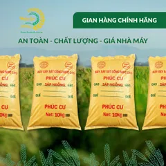 Gạo Phúc Cư | 40KG Nếp Sáp Ngỗng Dẻo Thơm Tự Nhiên Làm Bánh Xôi Nấu Chè