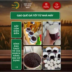 Gạo Phúc Cư | 5KG Gạo Nếp Cẩm Điện Biên Đặc Sản Dẻo Thơm Nấu Xôi Sữa Chua Thơm Ngon