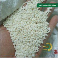 Gạo Phúc Cư | 30KG Nếp Sáp Ngỗng Dẻo Thơm Tự Nhiên Làm Bánh Xôi Nấu Chè