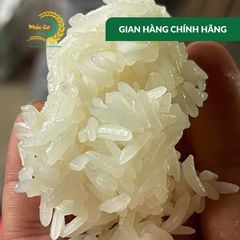 Gạo Phúc Cư | 5KG Nếp Nương Điện Biên Hạt Dài Dẻo Thơm Nấu Xôi Làm Bánh