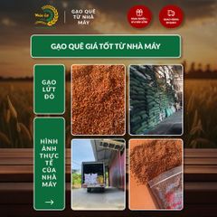 Gạo Phúc Cư | 10KG Lứt Đỏ (LOẠI NGON) Huyết Rồng Hữu Cơ Tốt Cho Người Tiểu Đường Ăn Kiêng Heathy