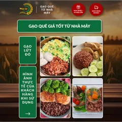 Gạo Phúc Cư | 5KG Lứt Đỏ (LOẠI NGON) Huyết Rồng Hữu Cơ Tốt Cho Người Tiểu Đường Ăn Kiêng Heathy