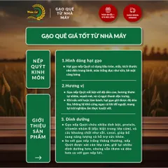 Gạo Phúc Cư | 30KG Gạo Nếp Quýt Kinh Môn 6 Tháng Tuổi (Nếp Cái Hoa Vàng) Hạt To Tròn Nấu Xôi Làm Bánh