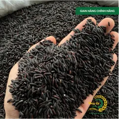 Gạo Phúc Cư | 20KG Gạo Lứt Đen (LOẠI NGON) Nếp Than Hữu Cơ Tốt Cho Người Tiểu Đường Ăn Kiêng