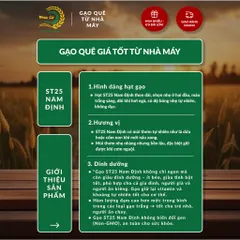 Gạo Phúc Cư | 5KG Gạo ST25 Nam Định Chính Gốc Dẻo Thơm Đặc Sản Hạt Dài Trắng Trong Cơm Ngon