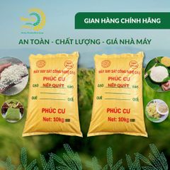 Gạo Phúc Cư | 20KG Gạo Nếp Quýt Kinh Môn 6 Tháng Tuổi (Nếp Cái Hoa Vàng) Hạt To Tròn Nấu Xôi Làm Bánh