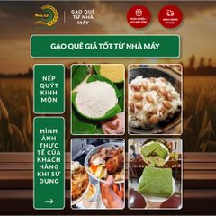 Gạo Phúc Cư | 20KG Gạo Nếp Quýt Kinh Môn 6 Tháng Tuổi (Nếp Cái Hoa Vàng) Hạt To Tròn Nấu Xôi Làm Bánh