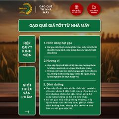 Gạo Phúc Cư | 20KG Gạo Nếp Quýt Kinh Môn 6 Tháng Tuổi (Nếp Cái Hoa Vàng) Hạt To Tròn Nấu Xôi Làm Bánh