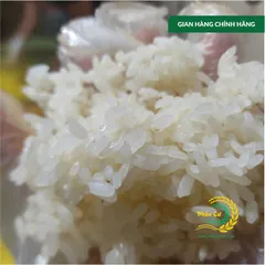 Gạo Phúc Cư | 20KG Nếp Sáp Ngỗng Dẻo Thơm Tự Nhiên Làm Bánh Xôi Nấu Chè