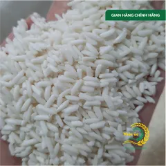 Gạo Phúc Cư | 20KG Nếp Sáp Ngỗng Dẻo Thơm Tự Nhiên Làm Bánh Xôi Nấu Chè