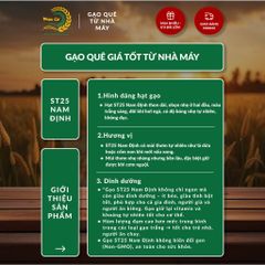 Gạo Phúc Cư | 5KG Gạo ST25 Nam Định Hảo Hạng (LOẠI CAO CẤP) Đặc Sản Hạt Dài Trắng Trong Cơm Ngon