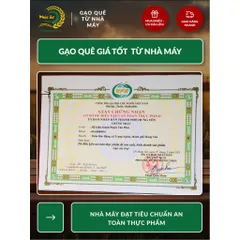 Gạo Phúc Cư | 40KG Gạo Lứt Đỏ (LOẠI NGON) Huyết Rồng Hữu Cơ Tốt Cho Người Tiểu Đường Ăn Kiêng Heathy