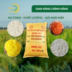 Gạo Phúc Cư | 10KG Gạo Nếp Nhung Hạt To (NẾP BẮC 4 THÁNG TUỔI) Nấu Xôi Không Bết Làm Bánh Dẻo Ngon