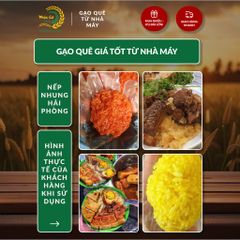 Gạo Phúc Cư | 10KG Gạo Nếp Nhung Hạt To (NẾP BẮC 4 THÁNG TUỔI) Nấu Xôi Không Bết Làm Bánh Dẻo Ngon
