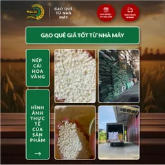 Gạo Phúc Cư | 10KG Gạo Nếp Cái Hoa Vàng (NẾP BẮC 3,5 THÁNG TUỔI) Dẻo Thơm Chuẩn Gạo Quê Nấu Xôi Làm Bánh