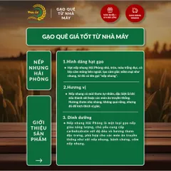 Gạo Phúc Cư | 10KG Gạo Nếp Nhung Hạt To (NẾP BẮC 4 THÁNG TUỔI) Nấu Xôi Không Bết Làm Bánh Dẻo Ngon