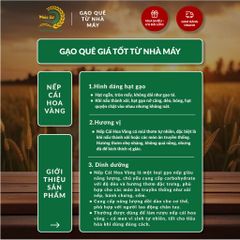 Gạo Phúc Cư | 5KG Gạo Nếp Cái Hoa Vàng (NẾP BẮC 3,5 THÁNG TUỔI) Dẻo Thơm Chuẩn Gạo Quê Nấu Xôi Làm Bánh