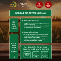 Gạo Phúc Cư | 30KG Gạo Nếp Cái Hoa Vàng (NẾP BẮC 3,5 THÁNG TUỔI) Dẻo Thơm Chuẩn Gạo Quê Nấu Xôi Làm Bánh