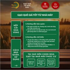 Gạo Phúc Cư | 40KG Gạo Nếp Cái Hoa Vàng (NẾP BẮC 3,5 THÁNG TUỔI) Dẻo Thơm Chuẩn Gạo Quê Nấu Xôi Làm Bánh