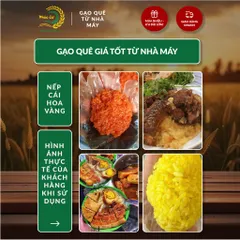 Gạo Phúc Cư | 20KG Gạo Nếp Cái Hoa Vàng (NẾP BẮC 3,5 THÁNG TUỔI) Dẻo Thơm Chuẩn Gạo Quê Nấu Xôi Làm Bánh