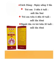 Siro Ho Bổ Phế Nam Hà, chai 125ml, hỗ trợ khi bị ho gió, ho khan, ho có đờm, viêm phế quản cấp và mãn tính..