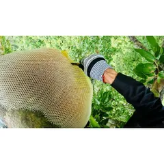 Combo: 1/2lít mật + 1/2 kg tinh bột nghệ