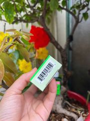 Dầu Khuynh Diệp BST's - Tinh Dầu 30ml Giảm Cảm Cúm, Nghẹt Mũi, Ho, Cơ Đau - Hỗ Trợ Giấc Ngủ Ngon Văn Minh Khỏe Mạnh