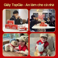 Combo 20 Gói Giấy Ăn cao cấp TopGia Tết, Tặng Ngựa Bông Miễn Phí, 4 Lớp Cao Cấp!
