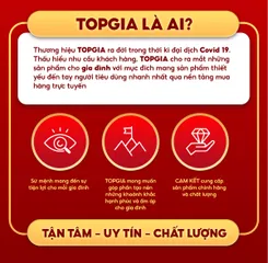 Combo 20 Gói Giấy Ăn cao cấp TopGia Tết, Tặng Ngựa Bông Miễn Phí, 4 Lớp Cao Cấp!