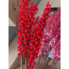 đào đông 12 nhánh, táo đồng,tim đồng, công đồng, rẻ quạt đồng 632377
