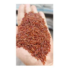 Gạo Lức huyết Rồng ( Túi 1 kg) 632769