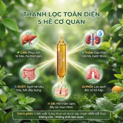 Nước Uống Thải Độc Gan Arkopharma Detoxifiant Hépatique - Hỗ Trợ Tiêu Hóa, Thanh Lọc Cơ Thể Từ Thiên Nhiên 20 Ống