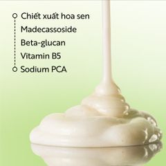 [B E B U]  Sữa Rửa Mặt Sen Hậu Giang Cocoon Lotus Soothing Cleanser 140ml