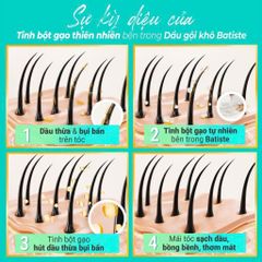 Dầu Gội Khô Batiste Hương 120g - Sạch Dầu Nhanh, Thơm Lâu, Giải Pháp Tươi Mát Cho Tóc Mọi Lúc