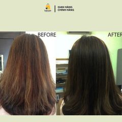 Dầu gội xả phục hồi cấp độ 3 Bed Head Tigi Đỏ/ Xanh/ Tím  - 750ml của Mỹ