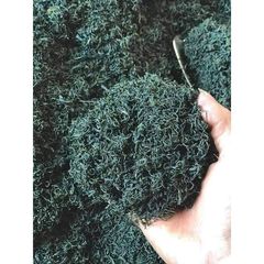 Chè xanh, 500gr trà bắc búp non, cánh trà nhỏ nước xanh ánh vàng, hậu ngọt dịu, hương cám