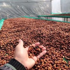 Cà phê ARABICA Long King pha phin truyền thống - 0.5kg Coffee - Gu mạnh vị đậm