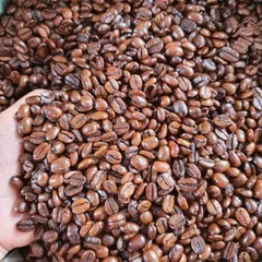 Combo 2 gói cà phê chồn nâu rang xay Long King, vị đắng dịu, hương moka, 2 gói (1kg)