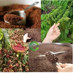 Cà phê chồn nâu rang xay Long King, vị đắng dịu, hương moka, gói màu nâu (500gr)