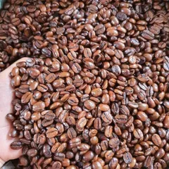 Cà phê chồn nâu rang xay Long King, vị đắng dịu, hương moka, gói màu nâu (500gr)