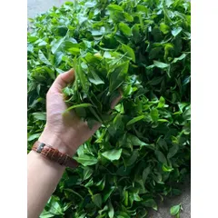 TRÀ NÕN TÔM NGON - 100gr Chè Thái Nguyên - Hương Cám, Ngọt Hậu