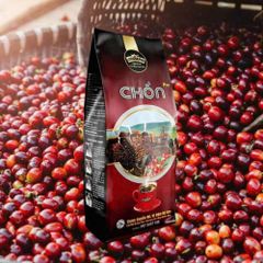 Cà Phê Chồn Pro Long King Gói 500gr Di sản năng lượng thể chất nhẹ, vị đắng dịu dùng pha phin
