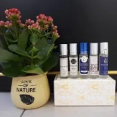 Nước Hoa Nữ MILLENIA 005W Euro Viet Perfumery 10ml