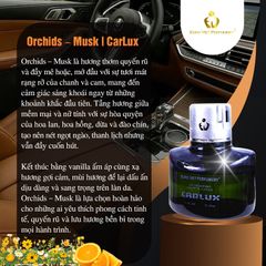 CARLUX 120ml Nước Hoa Ô Tô, phòng làm việc, phòng ngủ không gian nhỏ. Nguyên liệu nhập khẩu Barcelona (Tây Ban Nha)